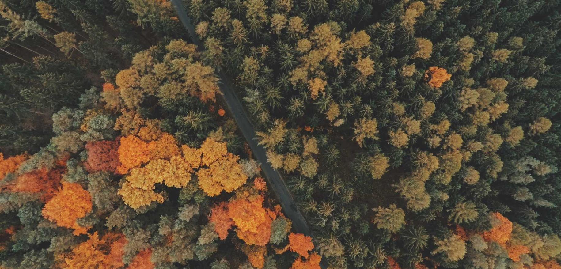 火网实名账号：在谷歌浏览器中注册账号