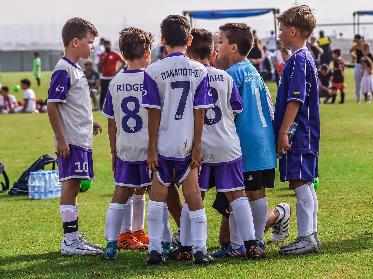 DDOS平台|郫县代理注册公司