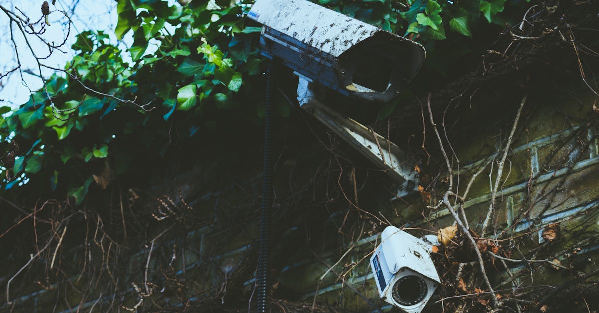 服务器软件攻击的现状与趋势分析