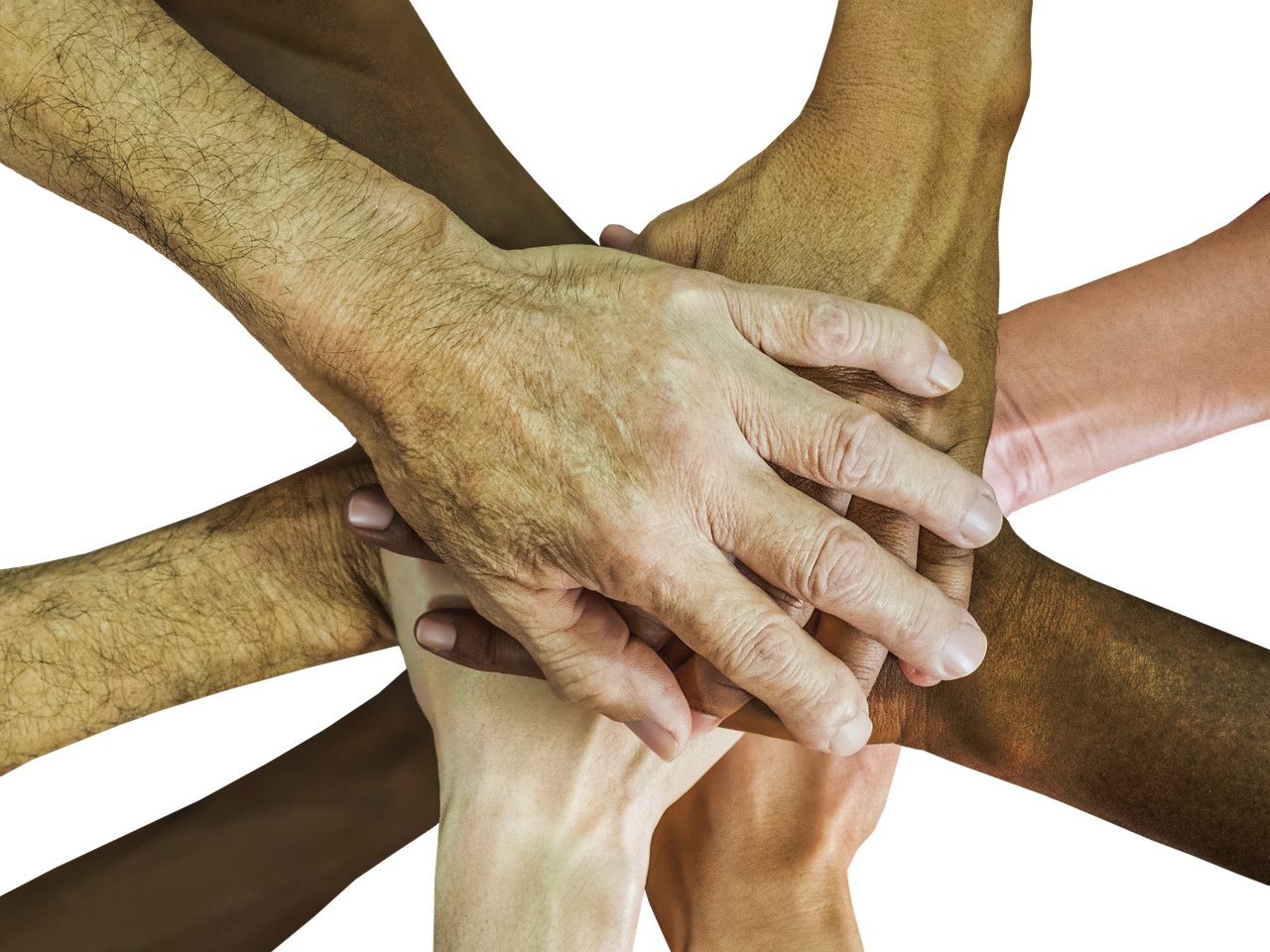 如何处理多品牌网站以提高SEO排名