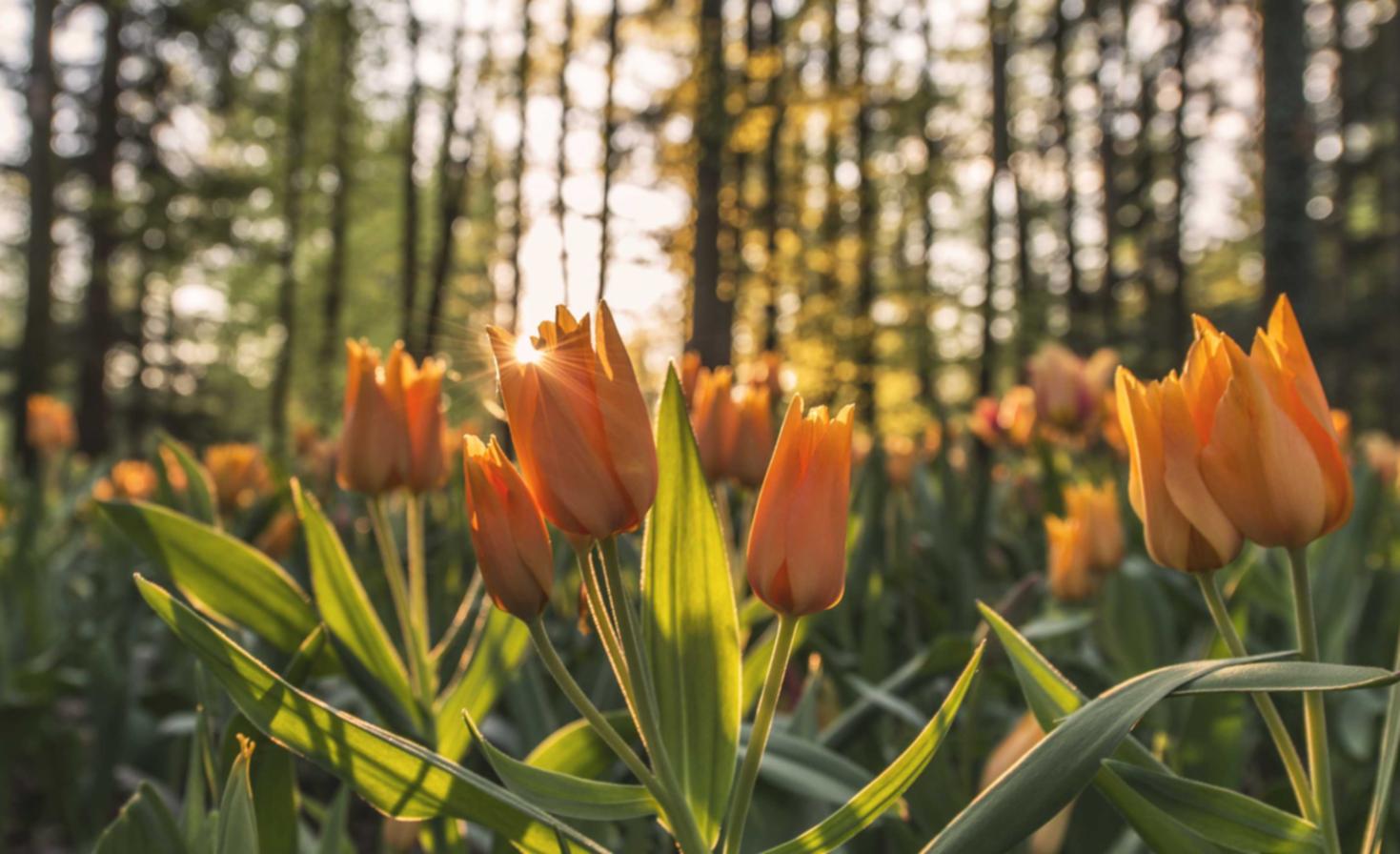 部落冲突：海口注册公司代理注册费用