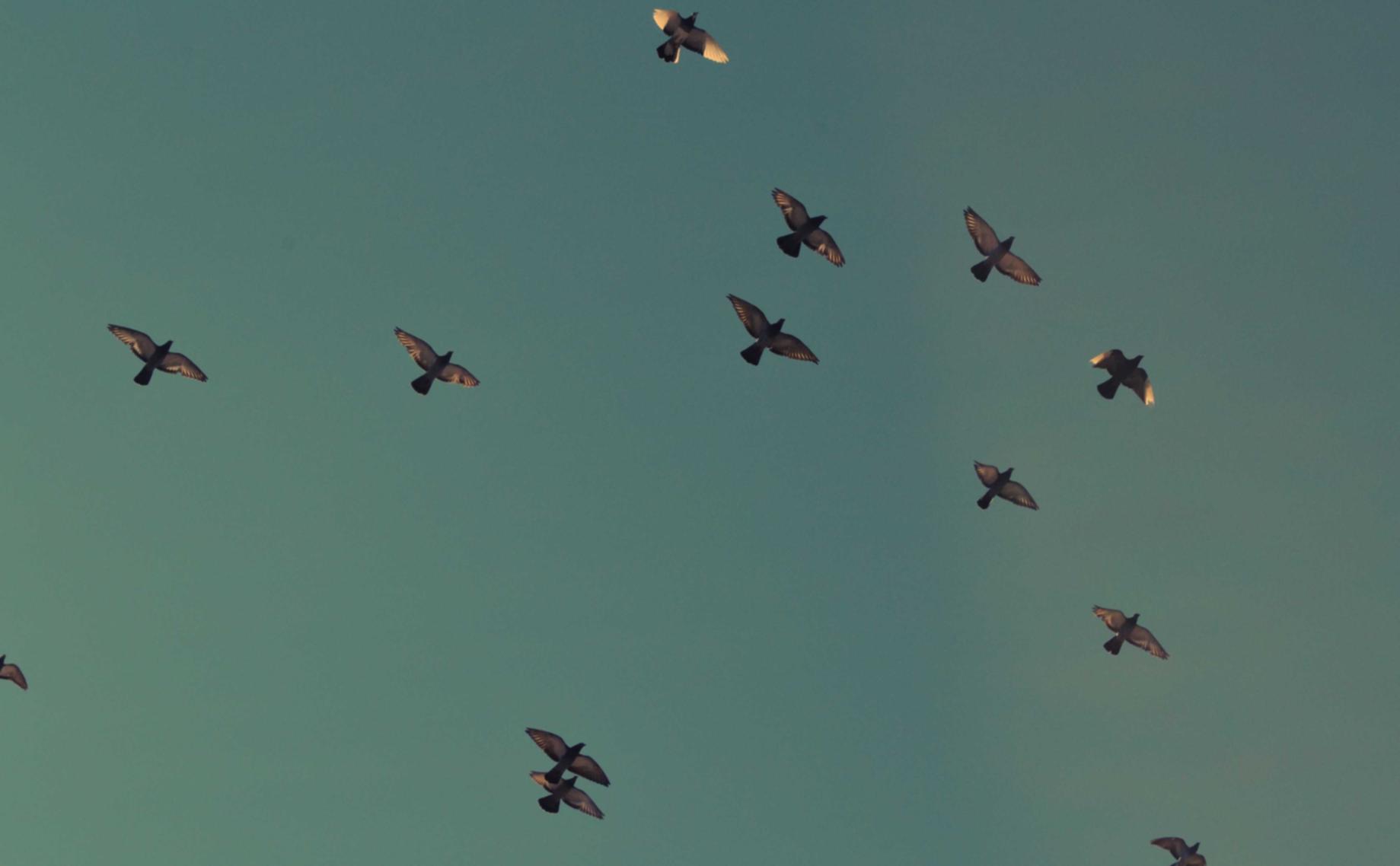 宇宙ip实名账号：实名账号是否能够防止网络暴力事件？