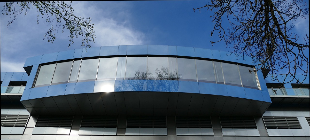 菠萝app详情下载教程视频